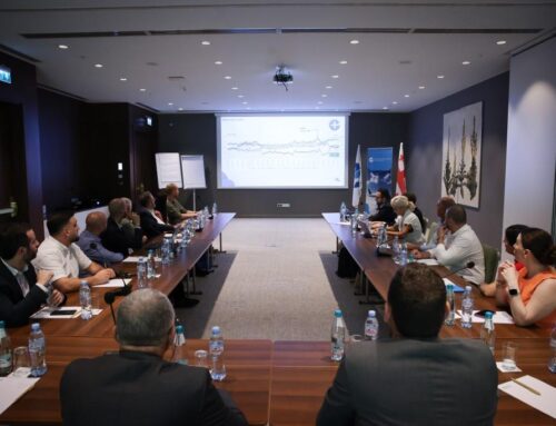 საავიაციო სექტორის წარმომადგენლები საჰაერო სივრცისა და აეროდრომების გამტარუნარიანობის შეფასების საკითხებზე ევროპულ გამოცდილებას გაეცნენ
